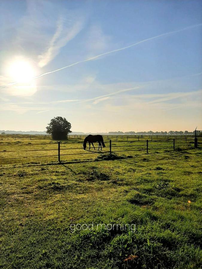 'T Wolthoes Vlagtwedde Buitenkant foto
