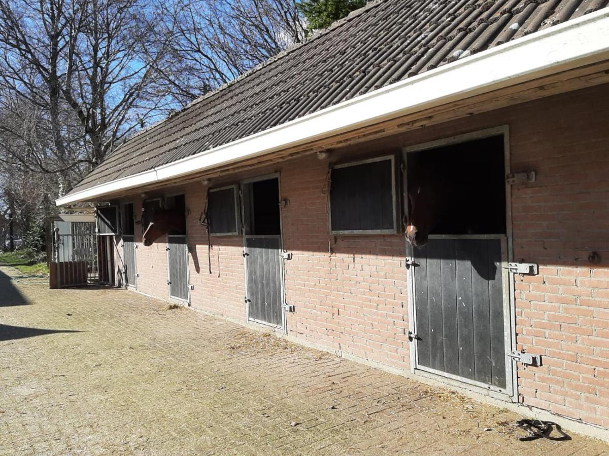 'T Wolthoes Vlagtwedde Buitenkant foto