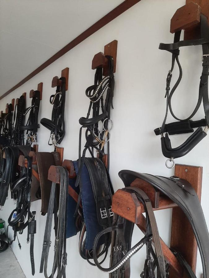 'T Wolthoes Vlagtwedde Buitenkant foto