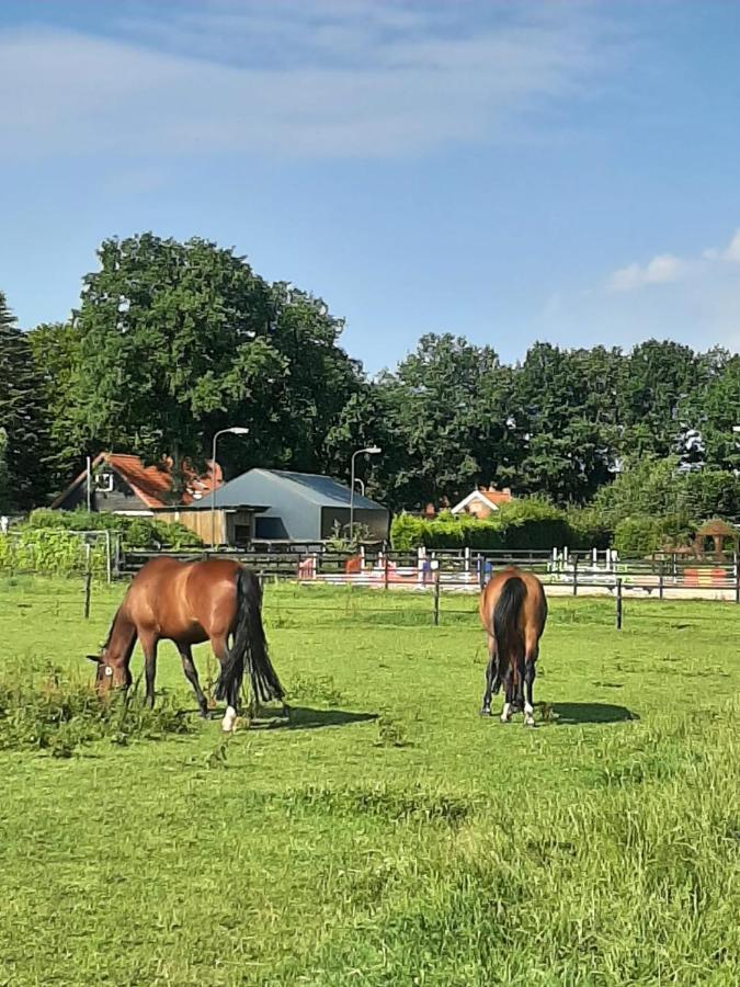 'T Wolthoes Vlagtwedde Buitenkant foto