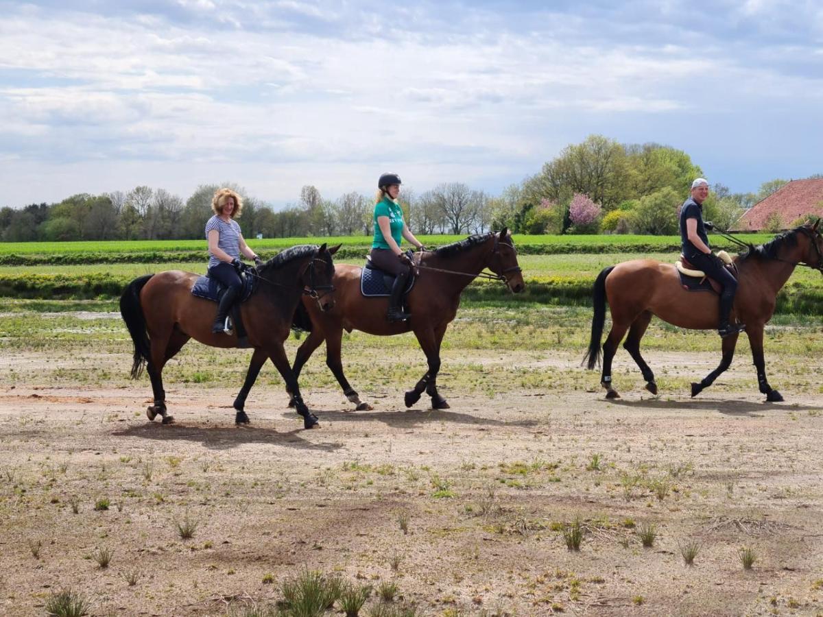 'T Wolthoes Vlagtwedde Buitenkant foto